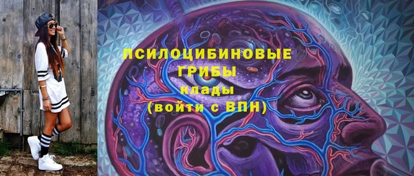 гидра Лагань