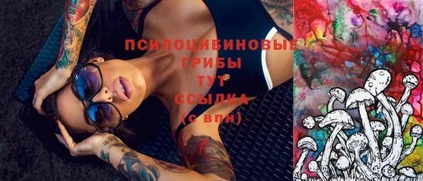 герыч Ладушкин