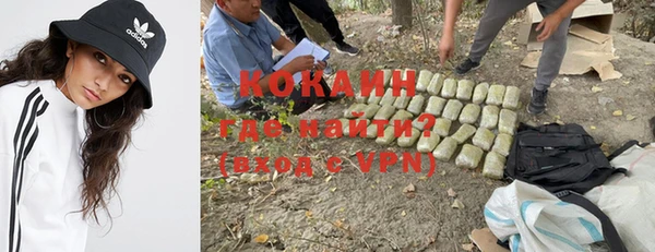 гидра Лагань