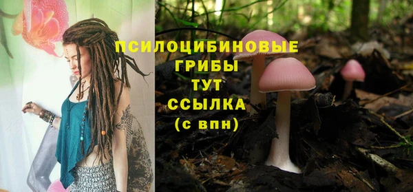 гидра Лагань