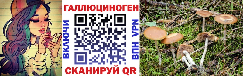 закладки  Липецк  Галлюциногенные грибы Cubensis 